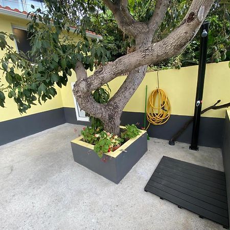 Villa Quintinha Dos Reis Funchal  Esterno foto