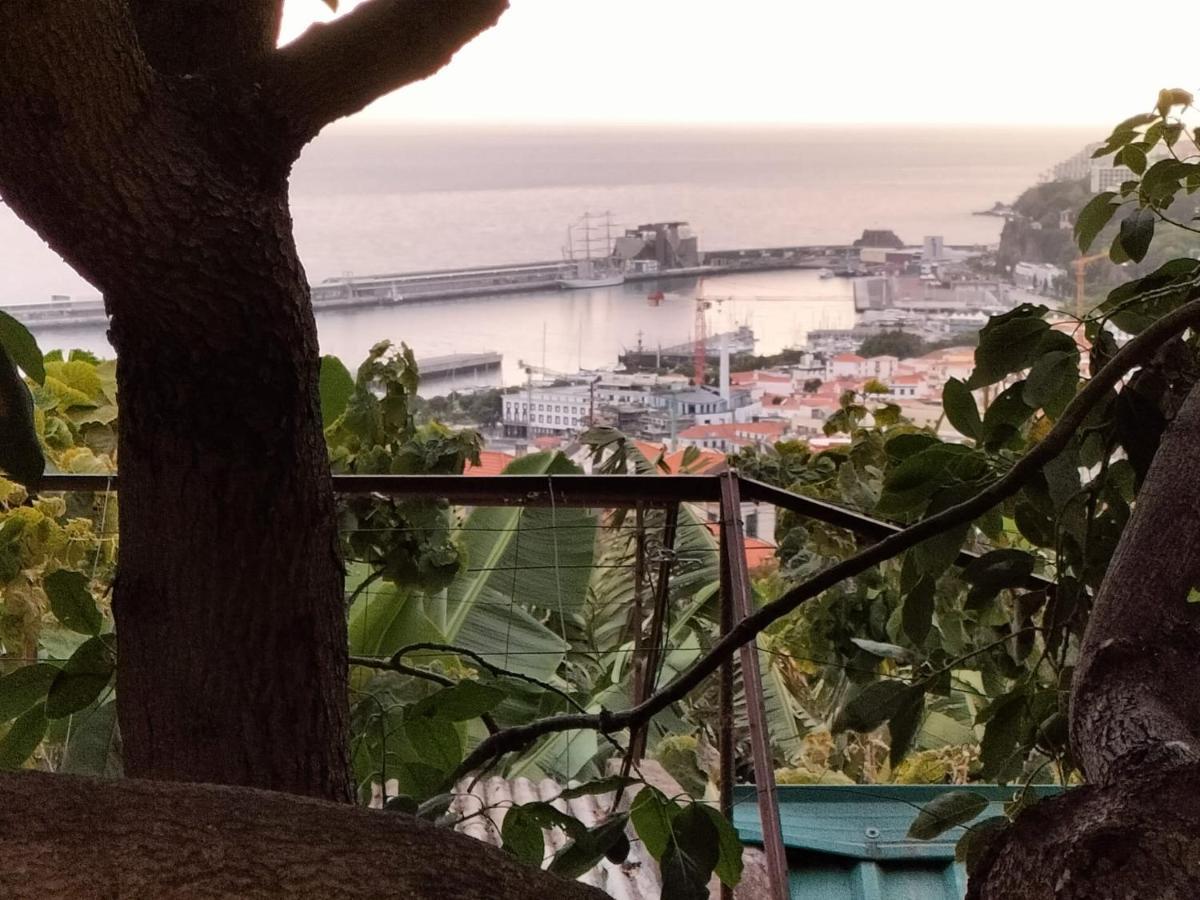 Villa Quintinha Dos Reis Funchal  Esterno foto